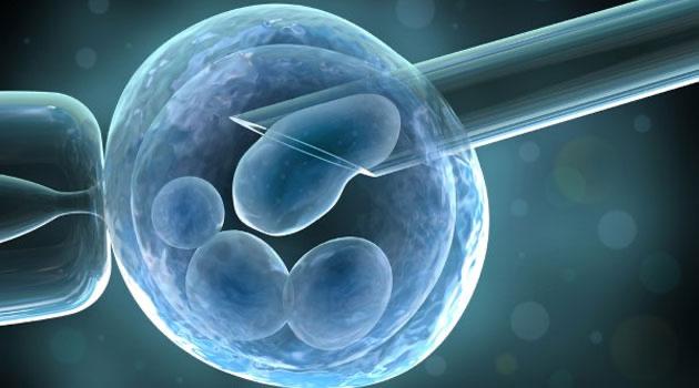 донорство яйцеклітини