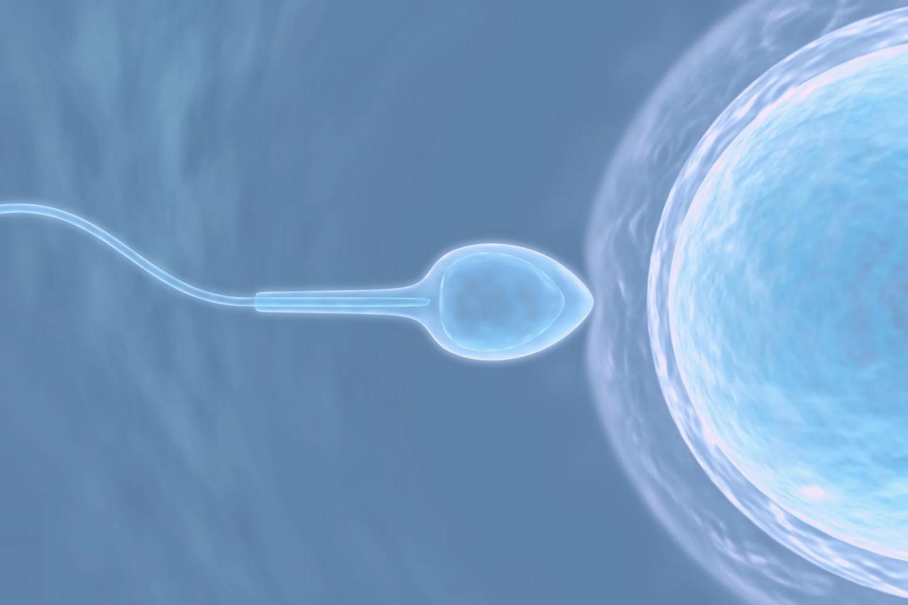 вагітність при онкології